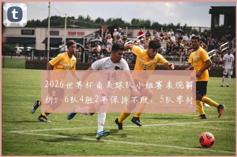 2026世界杯南美球队小组赛表现解析:6队4胜2平保持不败,5队零封对手彰显防守实力