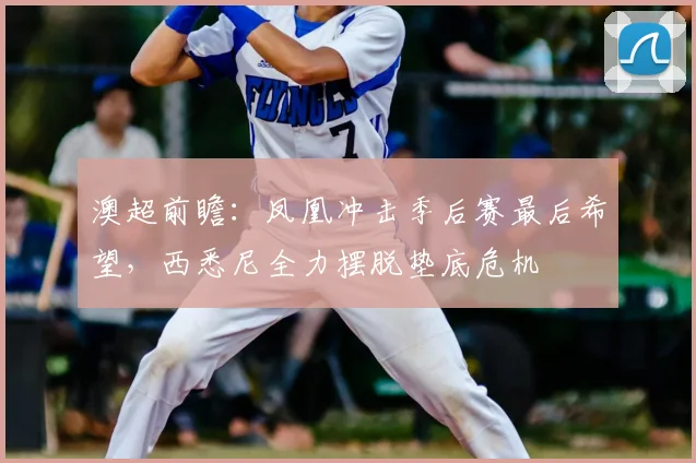 澳超前瞻:凤凰冲击季后赛最后希望,西悉尼全力摆脱垫底危机